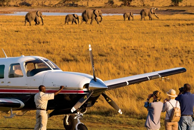 3-Day Serengeti Flying Safari