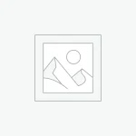 East African Safaris